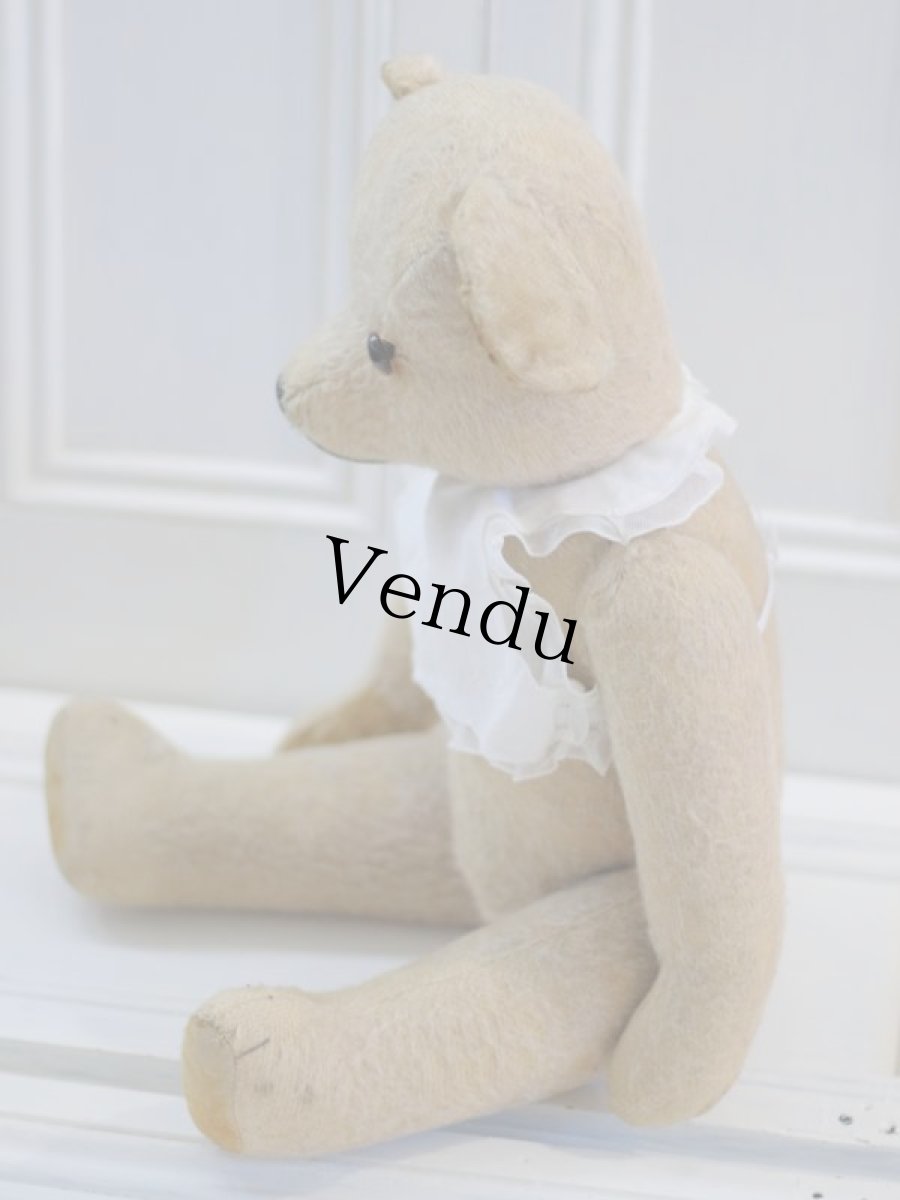 画像6: French Bear B//59cm//France (6)