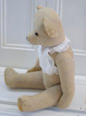 画像6: French Bear B//59cm//France (6)