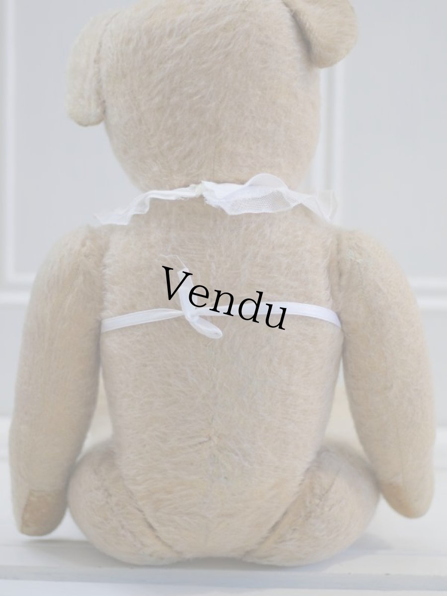 画像9: French Bear B//59cm//France (9)