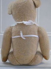 画像9: French Bear B//59cm//France (9)