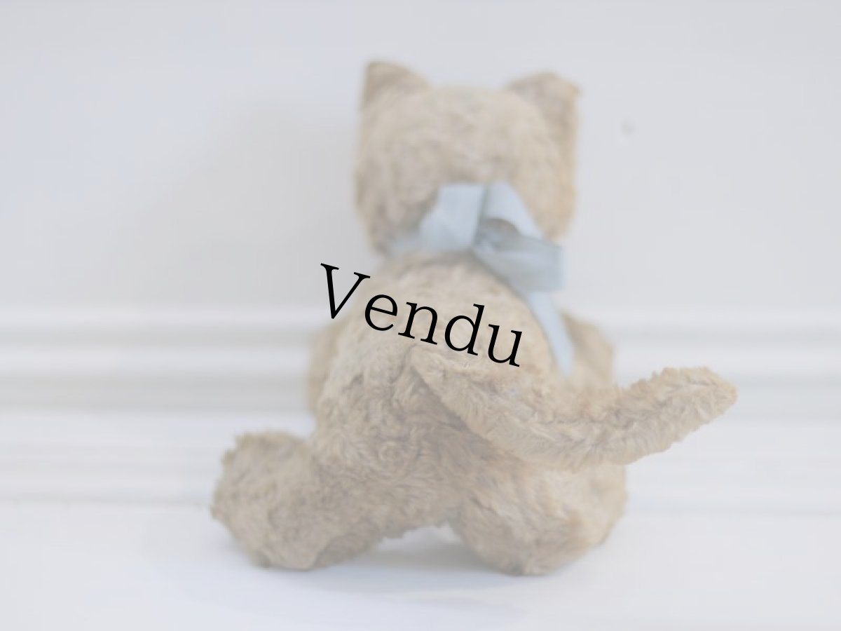 画像7: French Cat A // France (7)