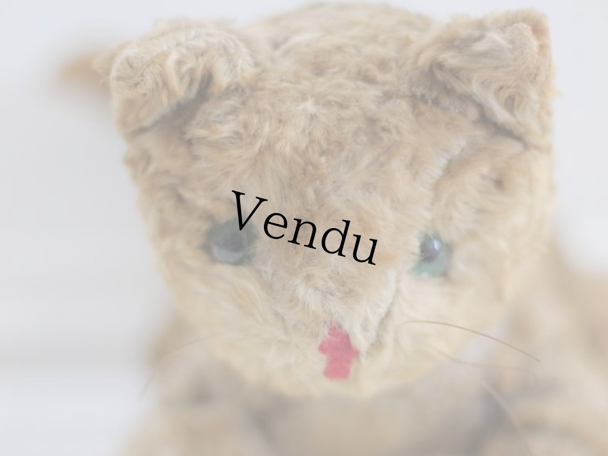 画像2: French Cat A // France (2)