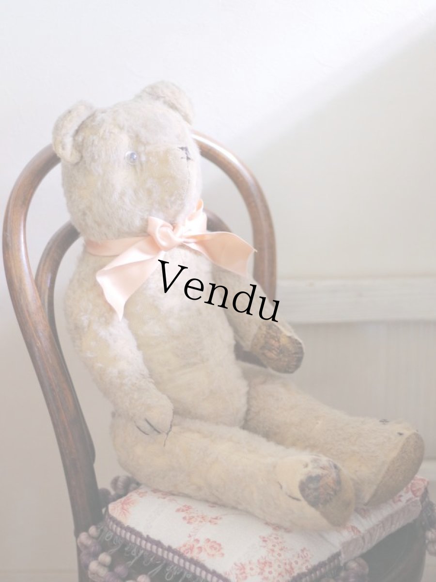 画像5: French Bear C // France (5)