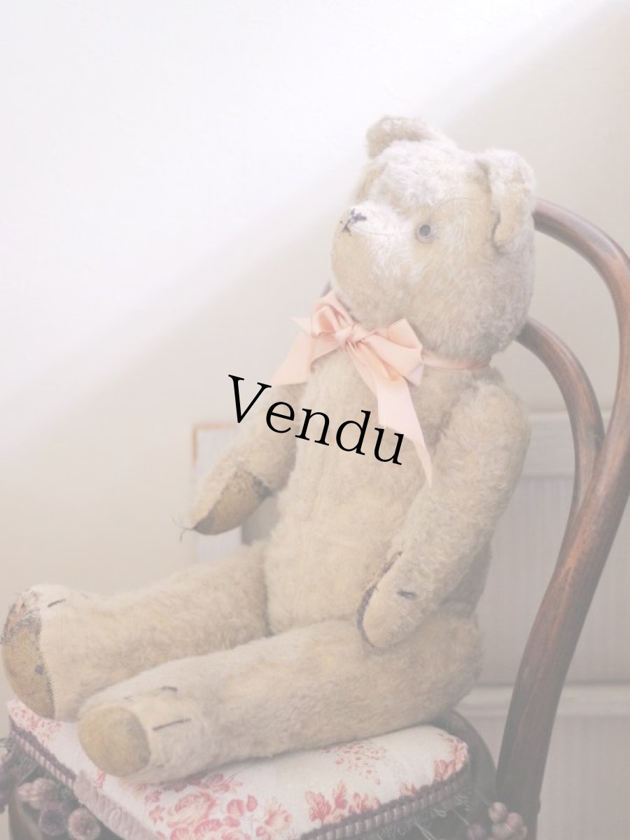 画像6: French Bear C // France (6)