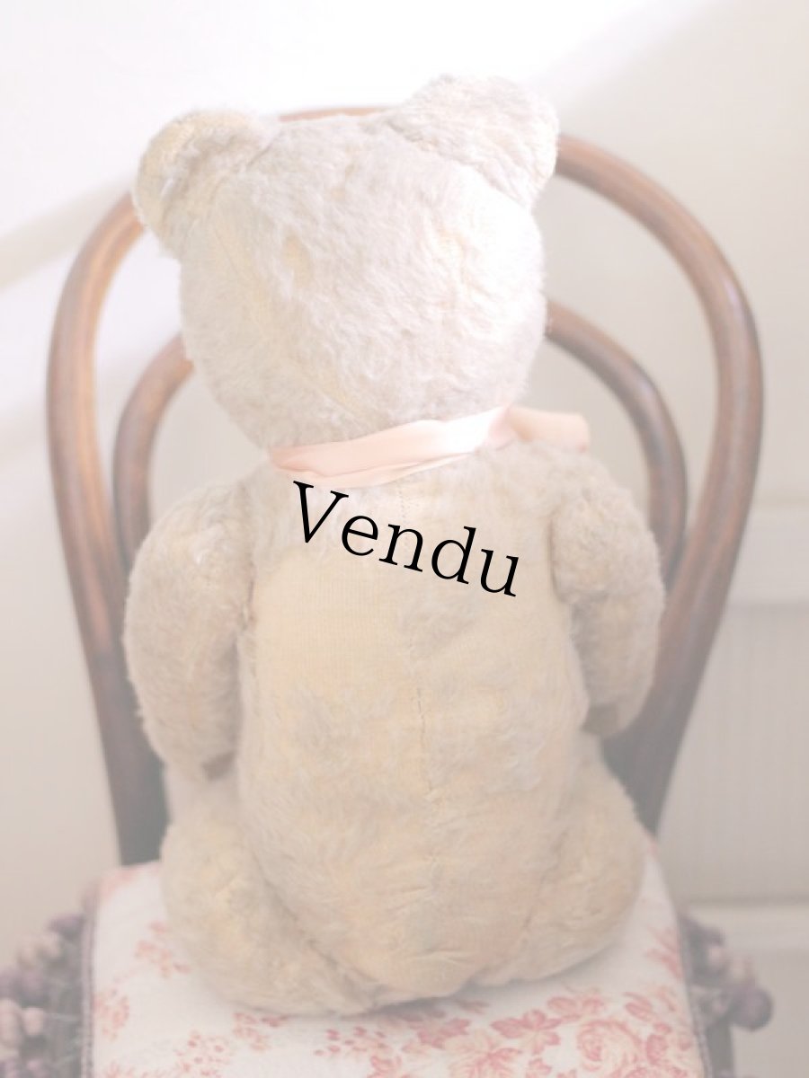 画像7: French Bear C // France (7)