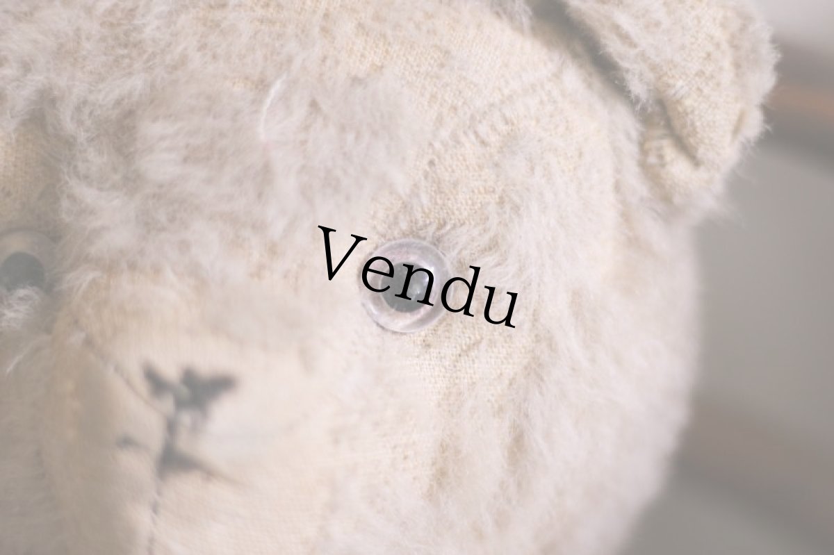 画像4: French Bear C // France (4)