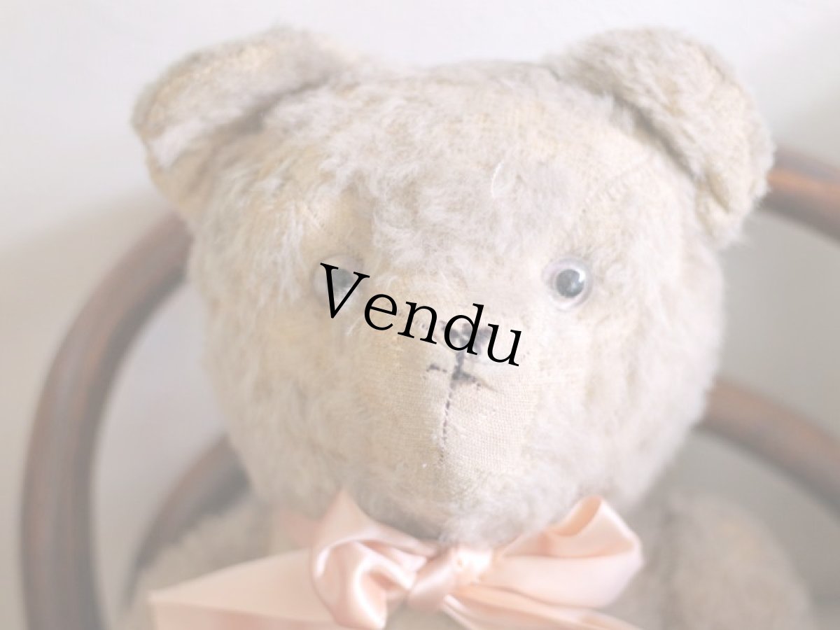 画像2: French Bear C // France (2)