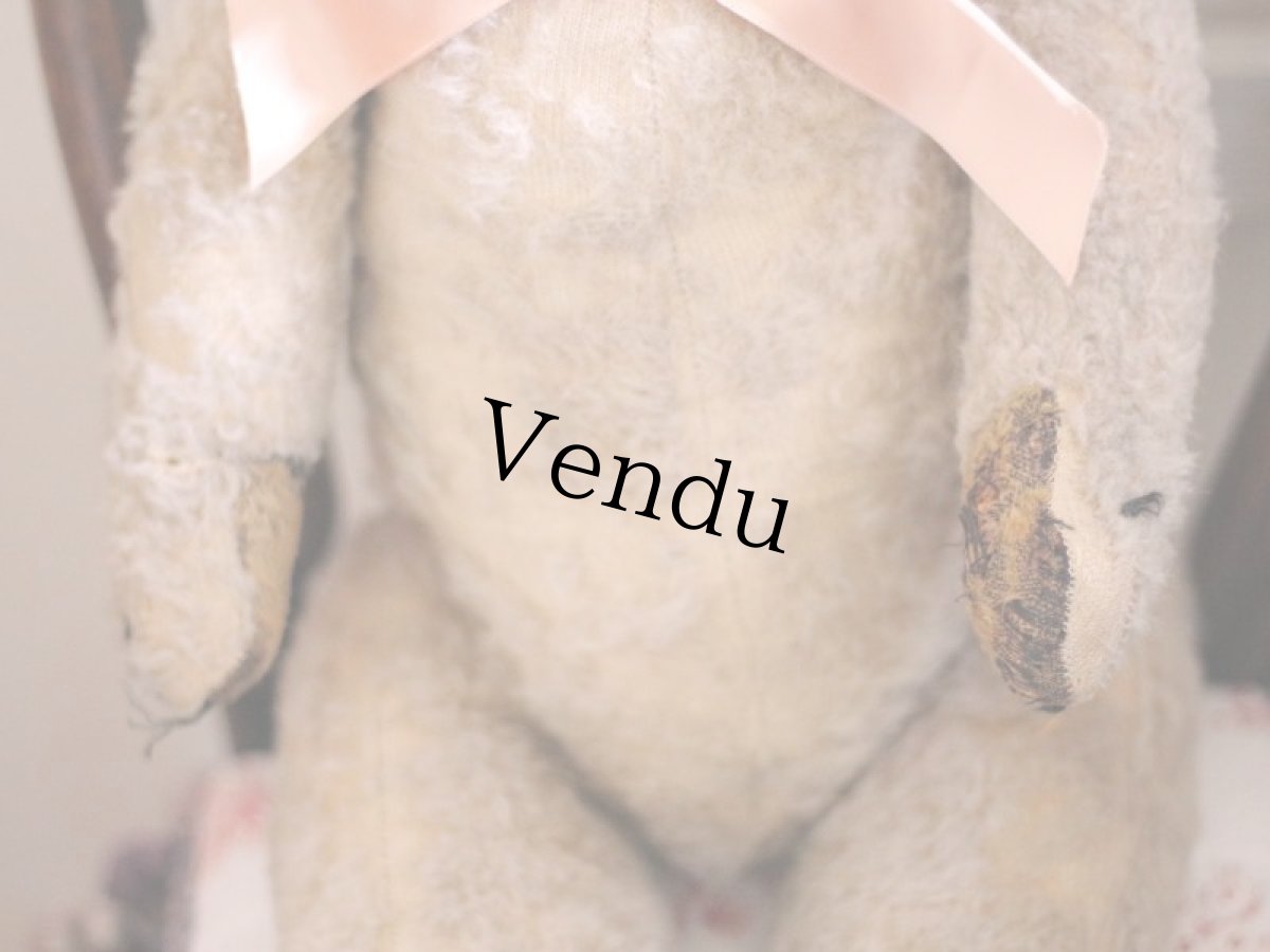 画像8: French Bear C // France (8)