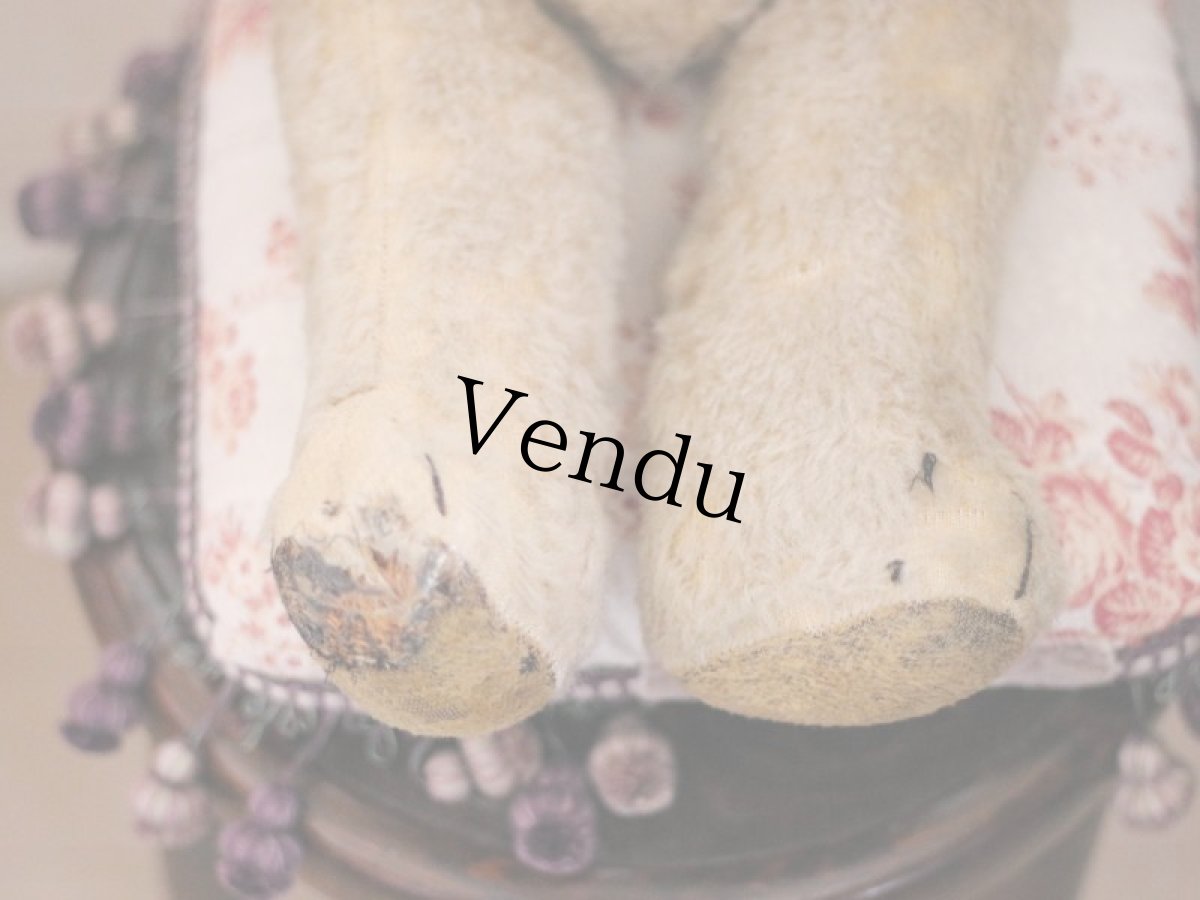 画像9: French Bear C // France (9)