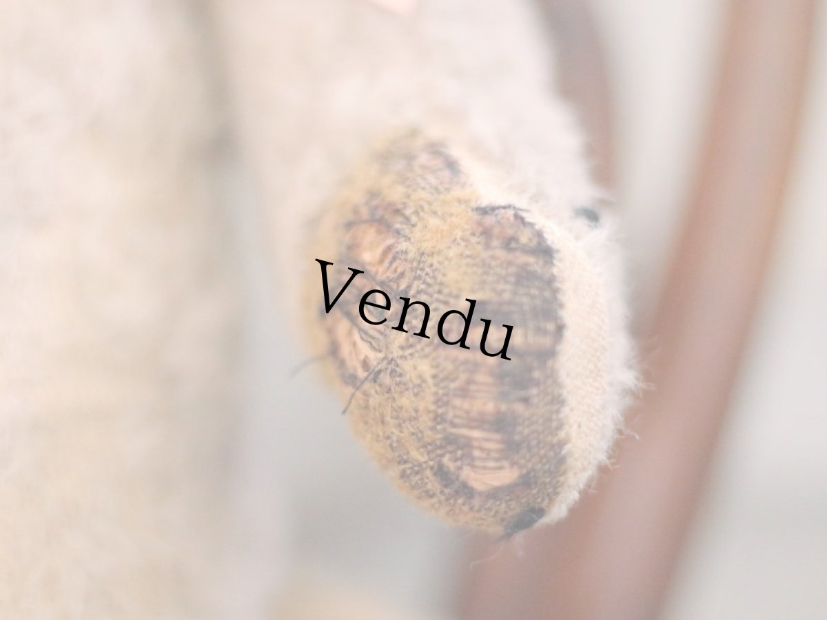 画像10: French Bear C // France (10)