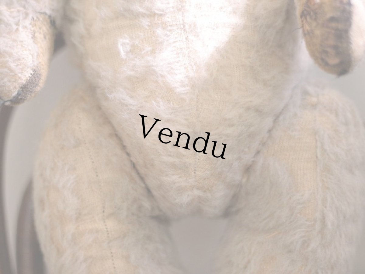 画像12: French Bear C // France (12)