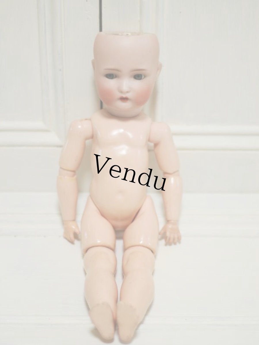 画像12: RARE!!Kämmer & Reinhardt // Flirty eyes //15.5in (12)