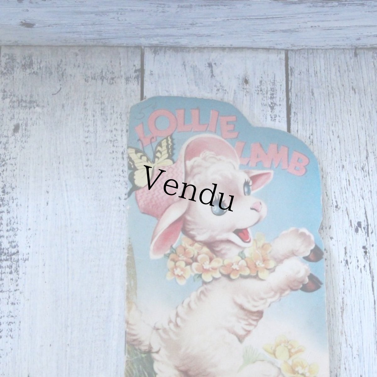 画像8: LOLLIE LAMB EO040118 (8)