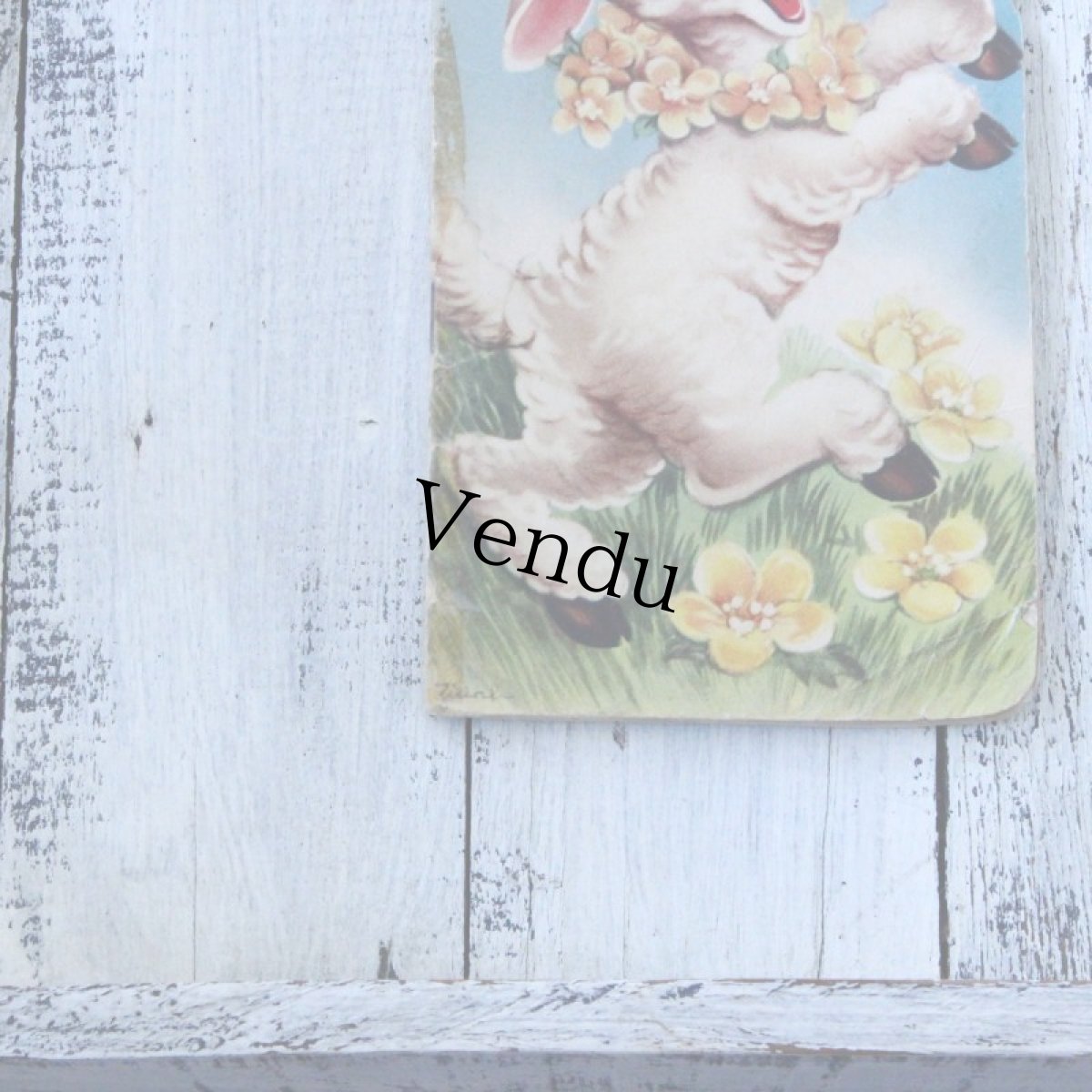 画像9: LOLLIE LAMB EO040118 (9)