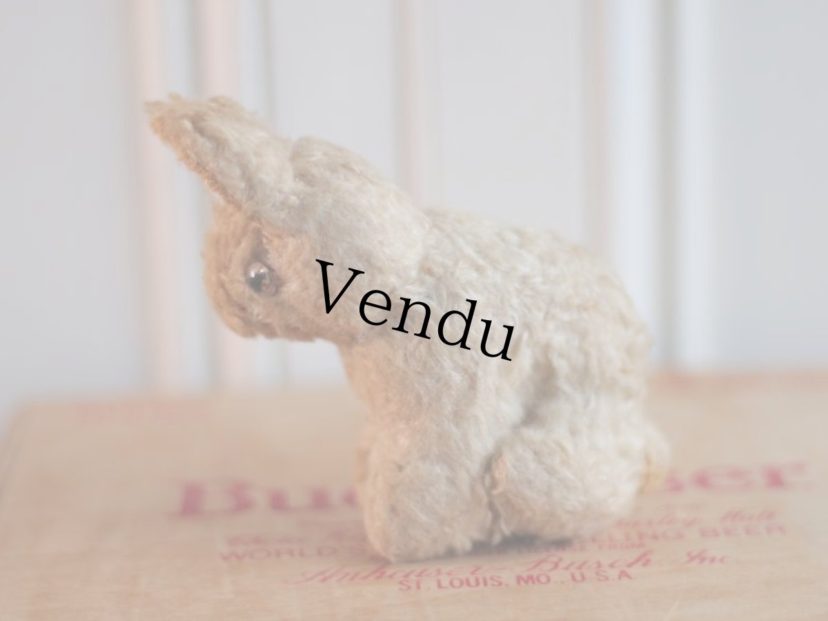 画像3: French lapin/France (3)