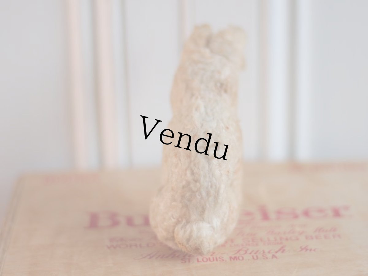 画像4: French lapin/France (4)