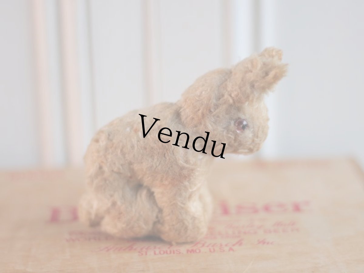 画像5: French lapin/France (5)