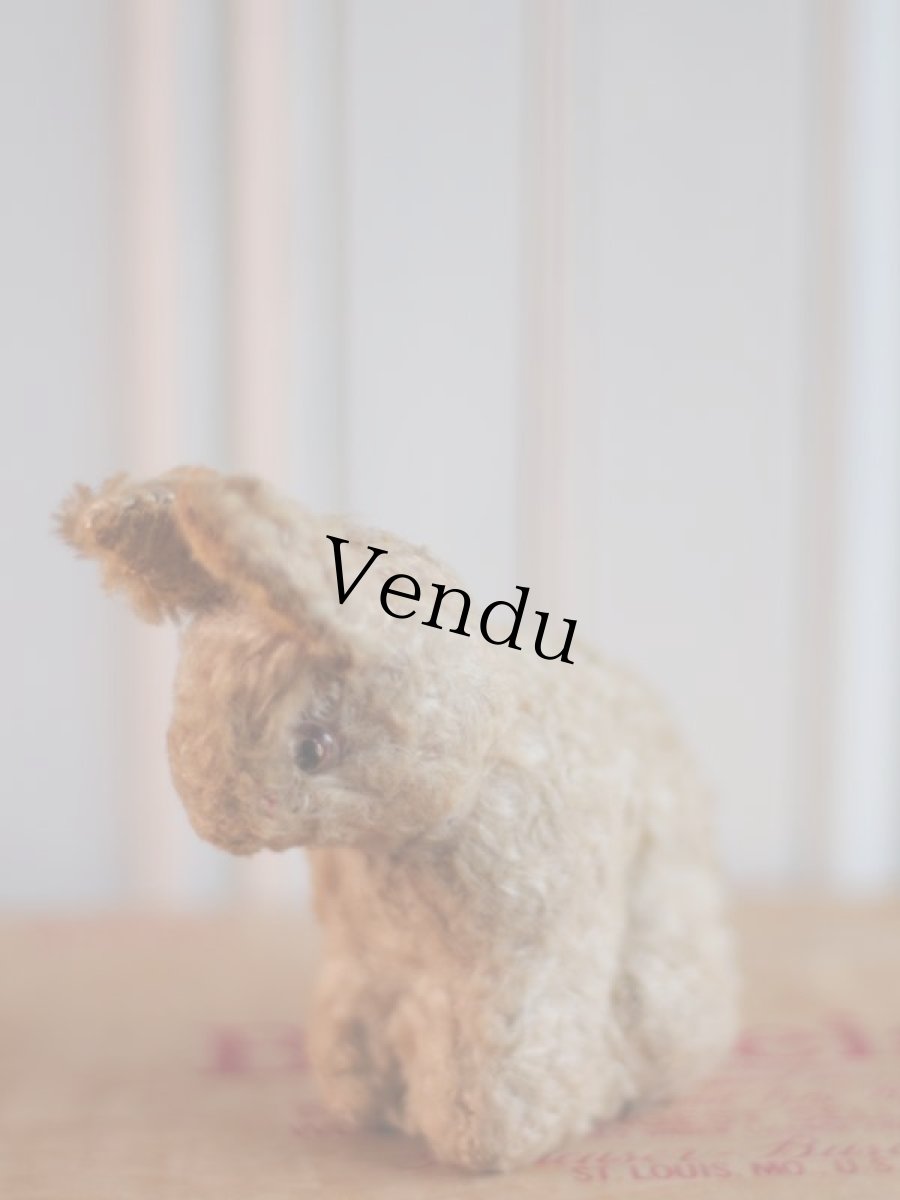 画像8: French lapin/France (8)