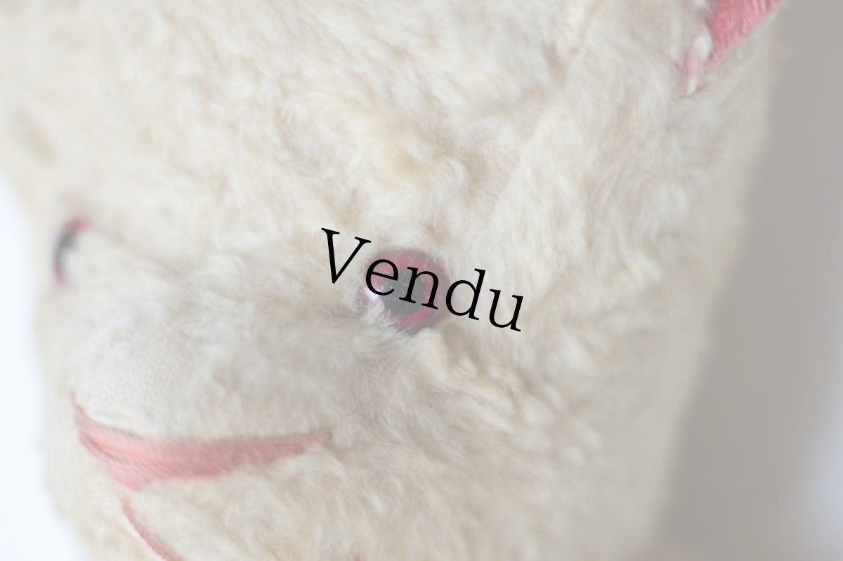 画像4: RARE!!! Red Ear /Le Jouet Paris Massy/J.P.M. Bear/48cm/France (4)