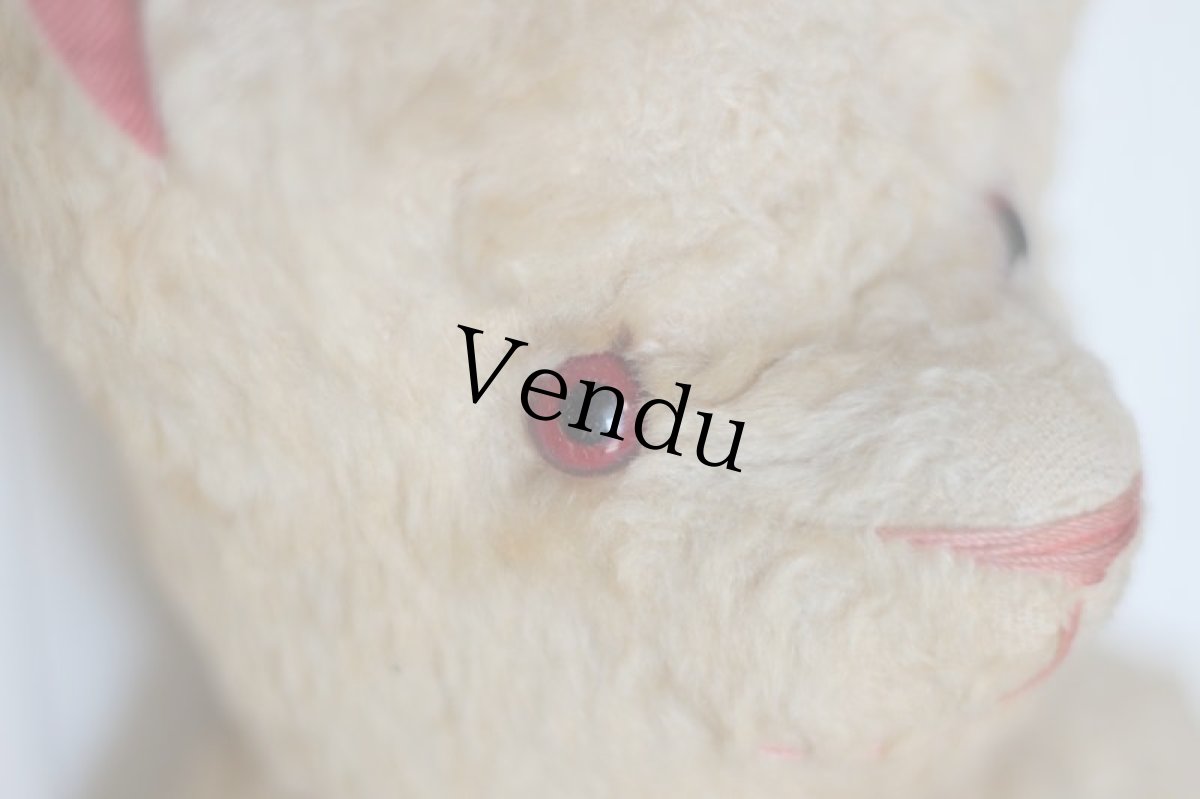 画像5: RARE!!! Red Ear /Le Jouet Paris Massy/J.P.M. Bear/48cm/France (5)