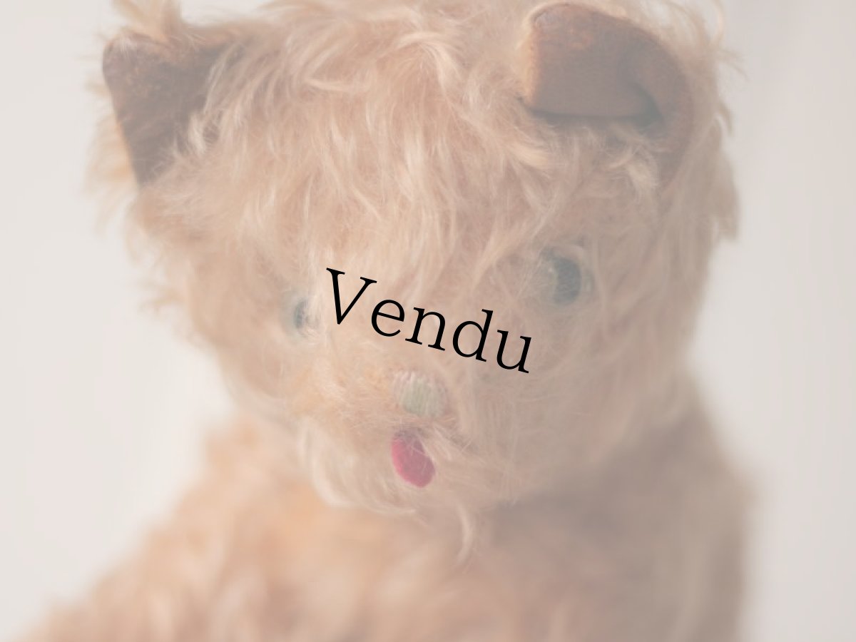 画像2: RARE!! J.P.M. 社 Cat//France/ (2)