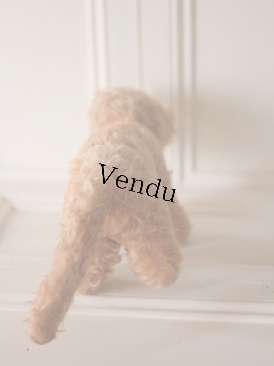 画像4: RARE!! J.P.M. 社 Cat//France/ (4)