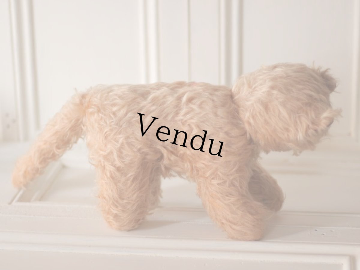 画像5: RARE!! J.P.M. 社 Cat//France/ (5)