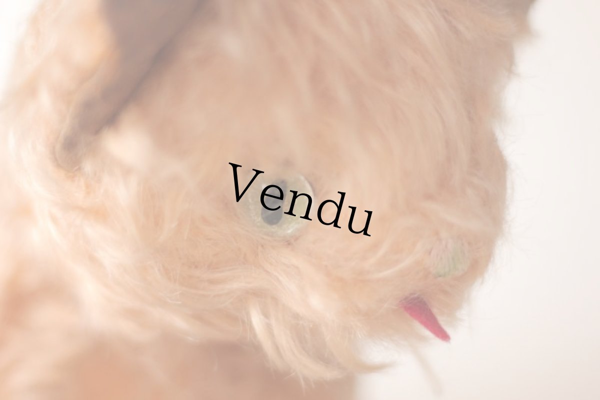 画像7: RARE!! J.P.M. 社 Cat//France/ (7)