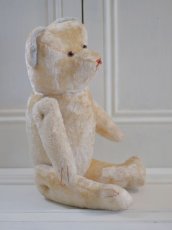 画像6: F様専用カートです。Le Jouet Paris Massy/J.P.M. Bear/45cm/France (6)