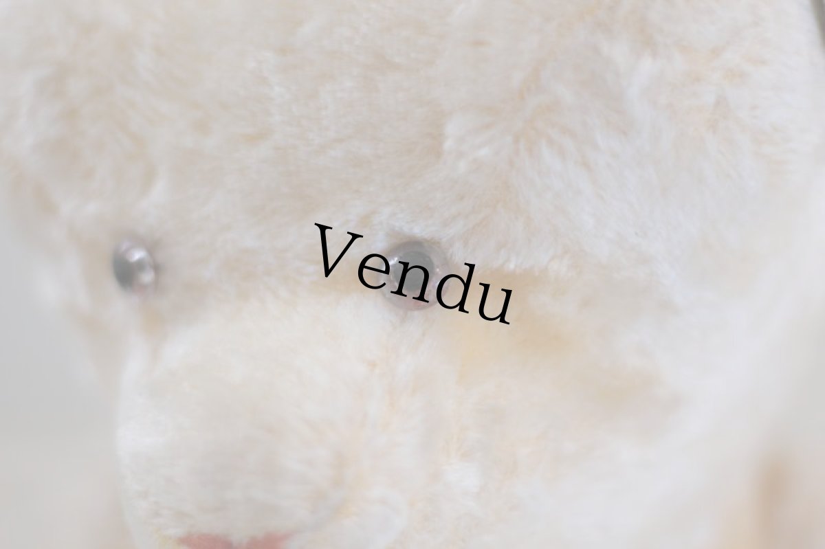 画像8: F様専用カートです。Le Jouet Paris Massy/J.P.M. Bear/45cm/France (8)