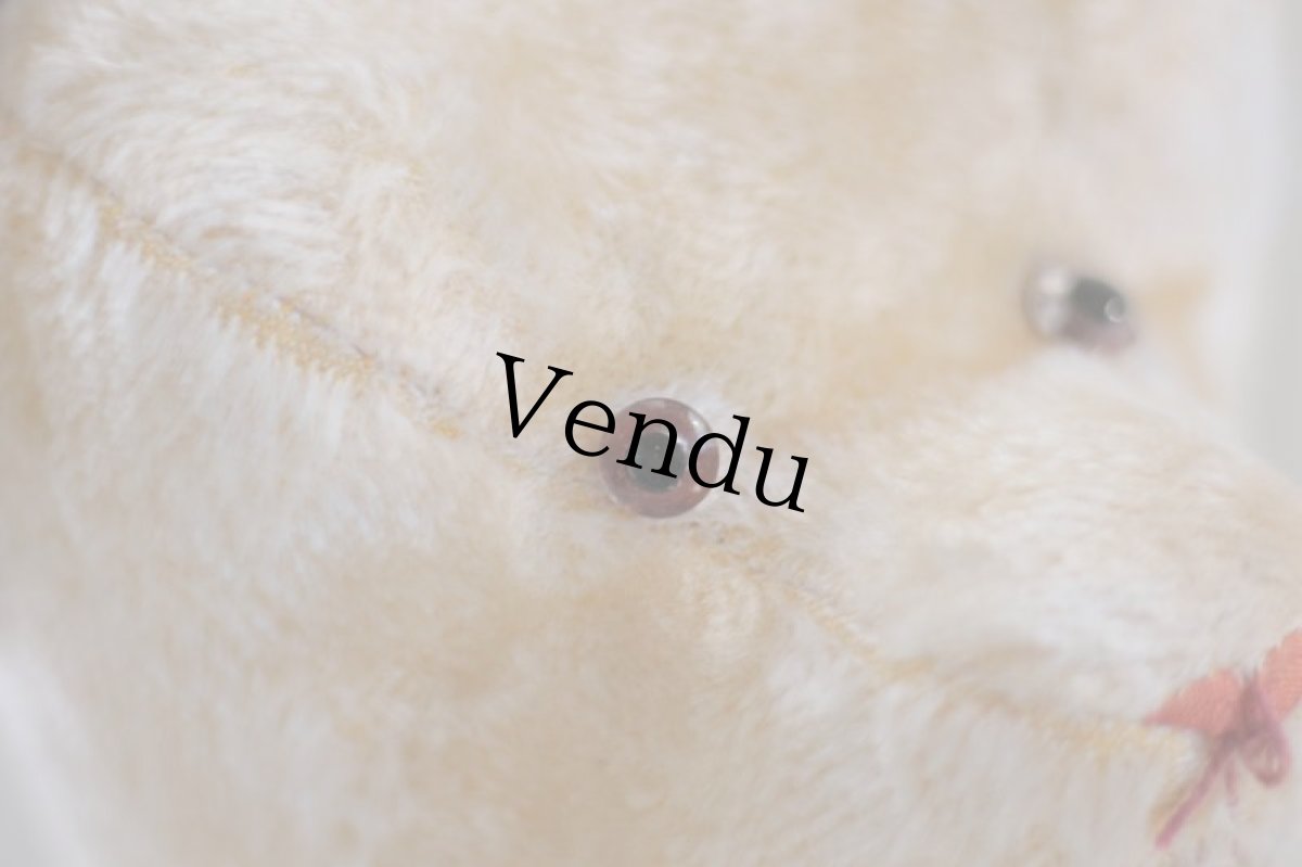 画像9: F様専用カートです。Le Jouet Paris Massy/J.P.M. Bear/45cm/France (9)