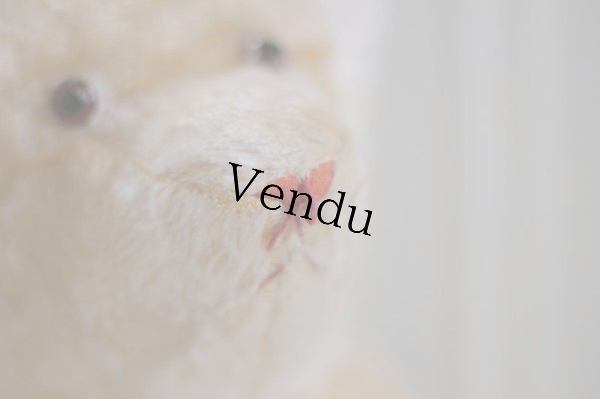 画像10: F様専用カートです。Le Jouet Paris Massy/J.P.M. Bear/45cm/France (10)