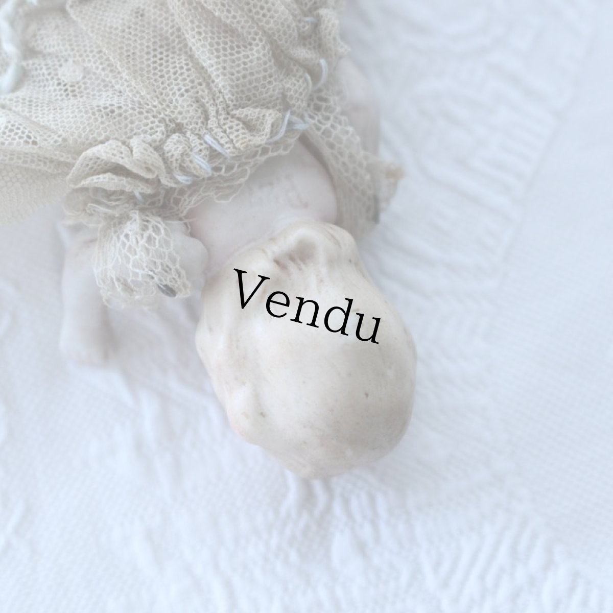 画像8: ブルーアイの女の子 EI08011818 (8)