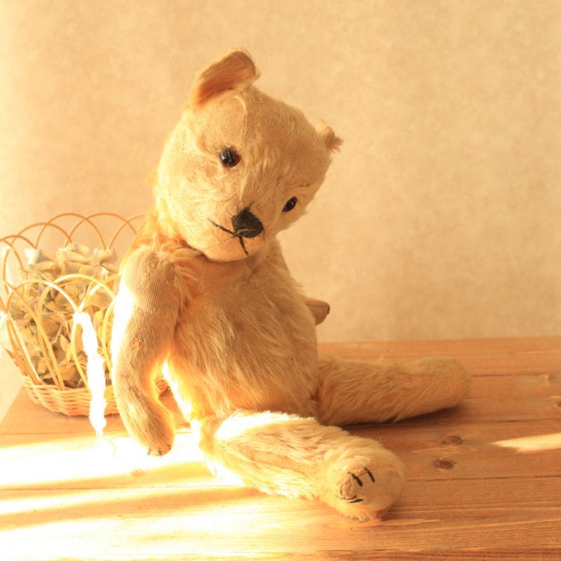 アンティークテディベア/Antique Teddybear/ぬいぐるみ-/Antique toricoTte アンティークショップ