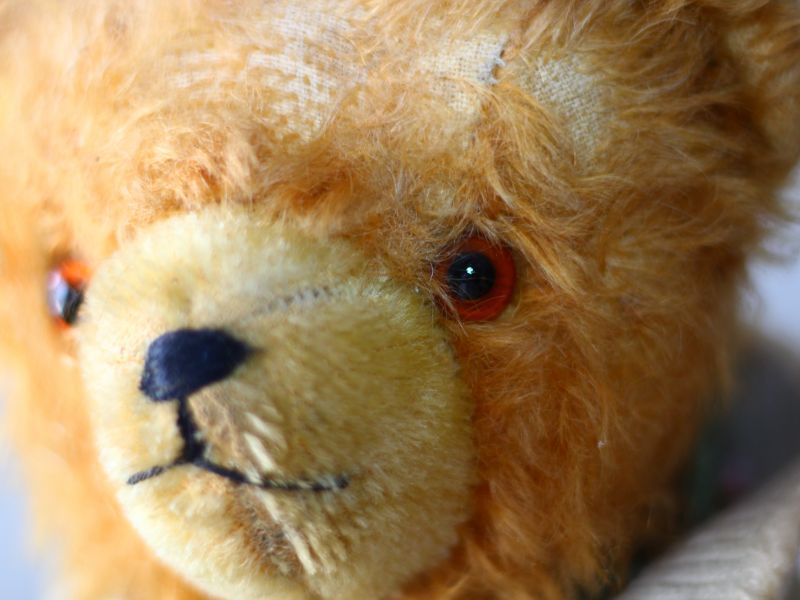 ドイツ アンティーク ベア/German/Antique Teddybear/ぬいぐるみ 
