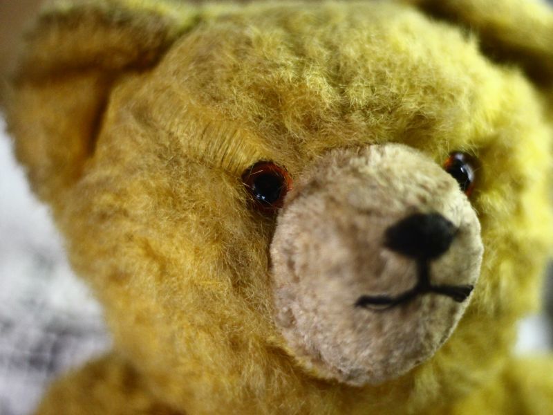 アンティークベア/Antique Teddybear/ぬいぐるみ-/Antique