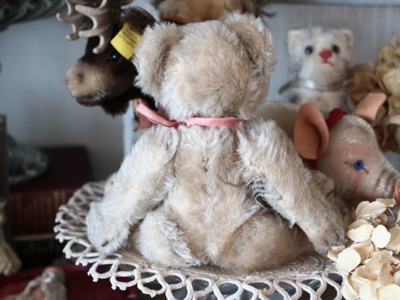 Antique toricoTte RARE!! Antique Steiff Jackie Baby Bear