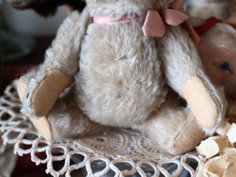 Antique toricoTte RARE!! Antique Steiff Jackie Baby Bear