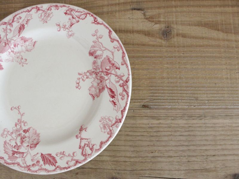 Luneville K&G FONTAINEBLEAU Plate / France/Brocante&Antique/食器 ...