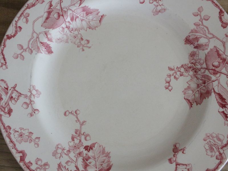 Luneville K&G FONTAINEBLEAU Plate / France/Brocante&Antique/食器 ...