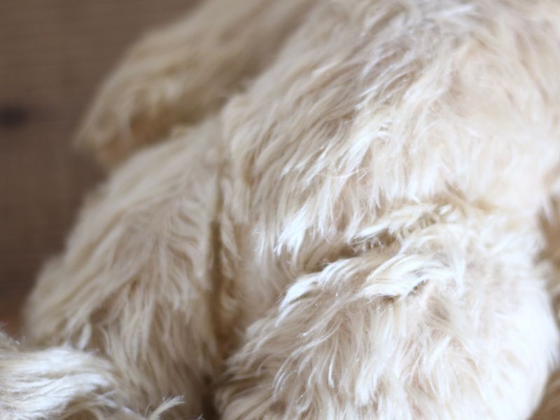 Antique toricoTte RARE!! J.P.M. 社 Bear/France/15.5in