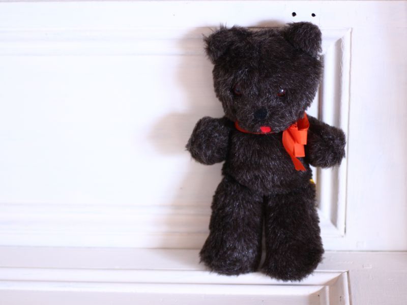 画像1: cute Dean's black soft bear  (1)