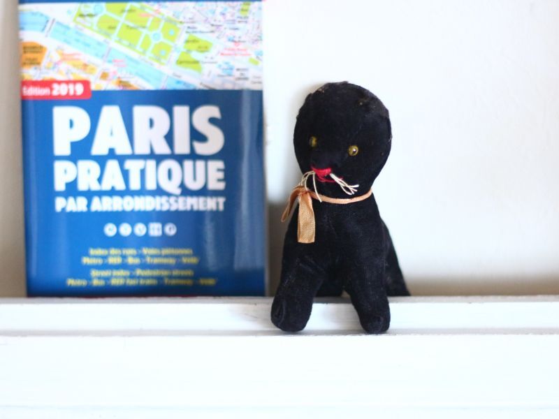 画像1: Rare Cute!! French Black Cat //France (1)