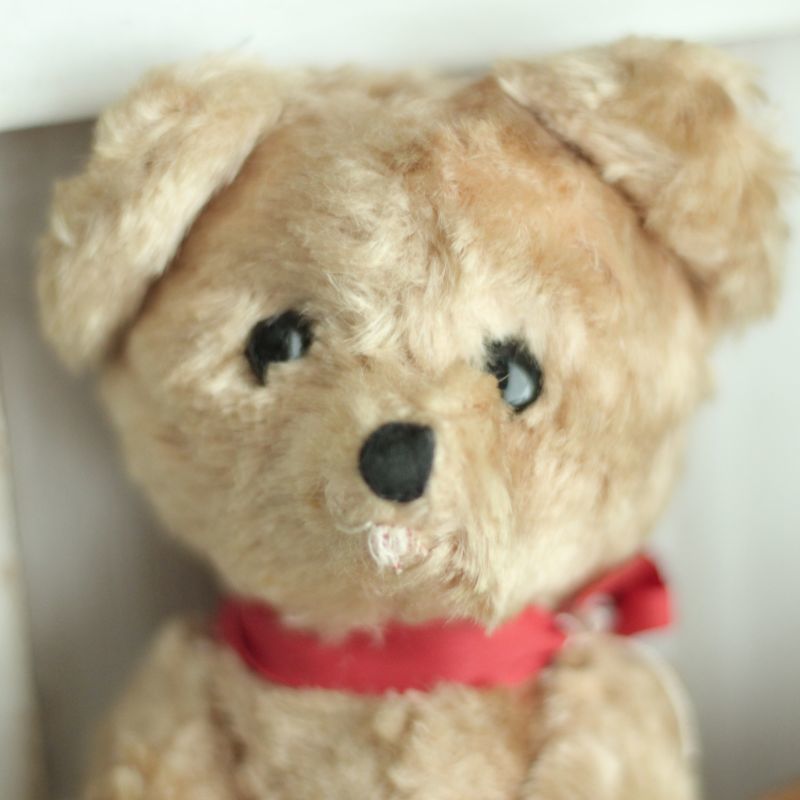 イギリス アンティークベア 156/Antique Teddybear/ぬいぐるみ 