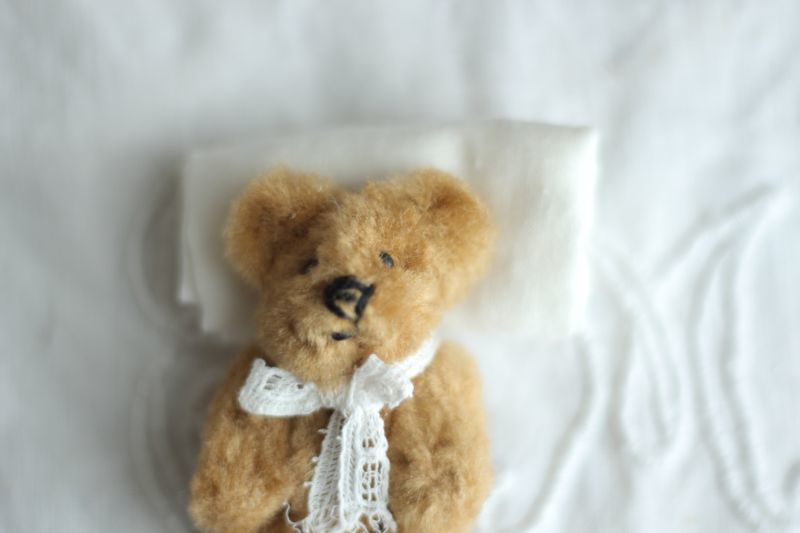 Hisa bear】モカチップのわんこ テディベア ぬいぐるみ ドール