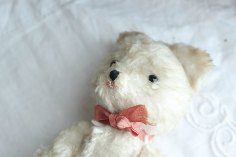 イギリスアンティークテディベア 355/Antique Teddybear